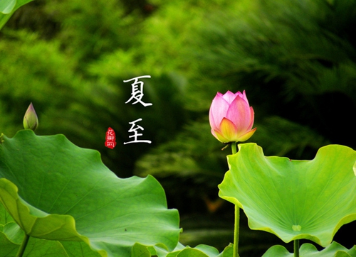 【今日夏至】荷風(fēng)送香氣，南方迎高溫