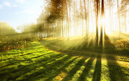 富軒門窗物語(yǔ)：夏入三伏，宜養(yǎng)身心！